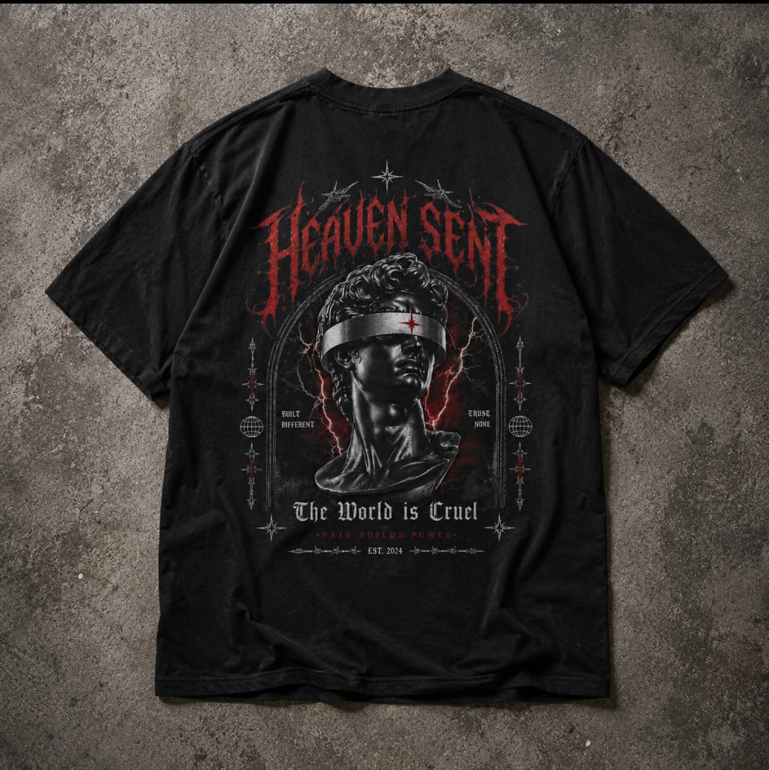 Heaven Sent™ The World Is Cruel" Streetwear tshirt